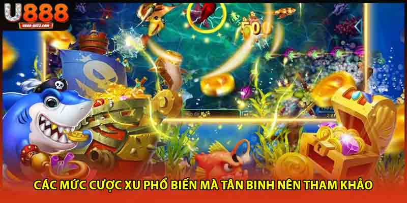 Các mức cược xu phổ biến mà tân binh nên tham khảo