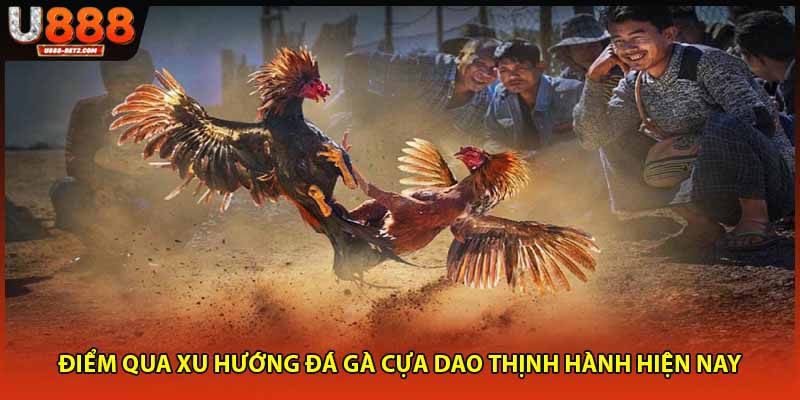 Điểm qua xu hướng đá gà cựa dao thịnh hành hiện nay